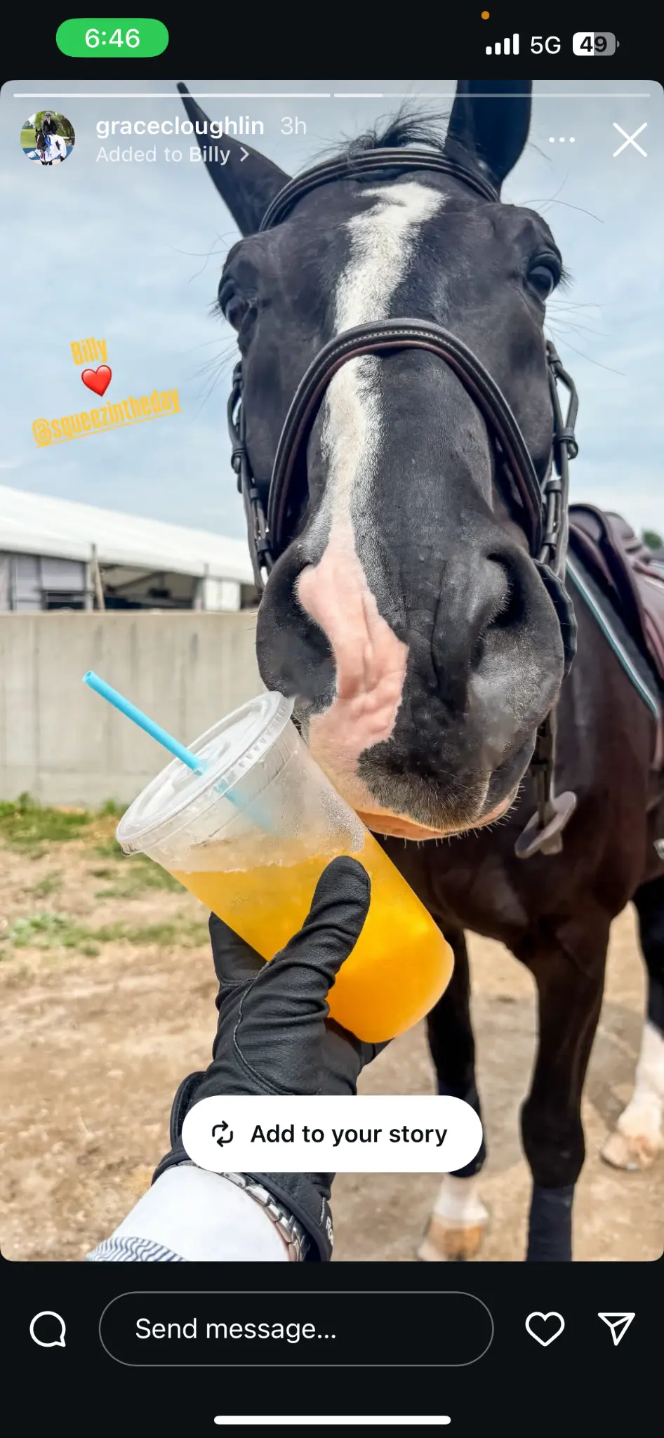 Horse Drinking Lemonade