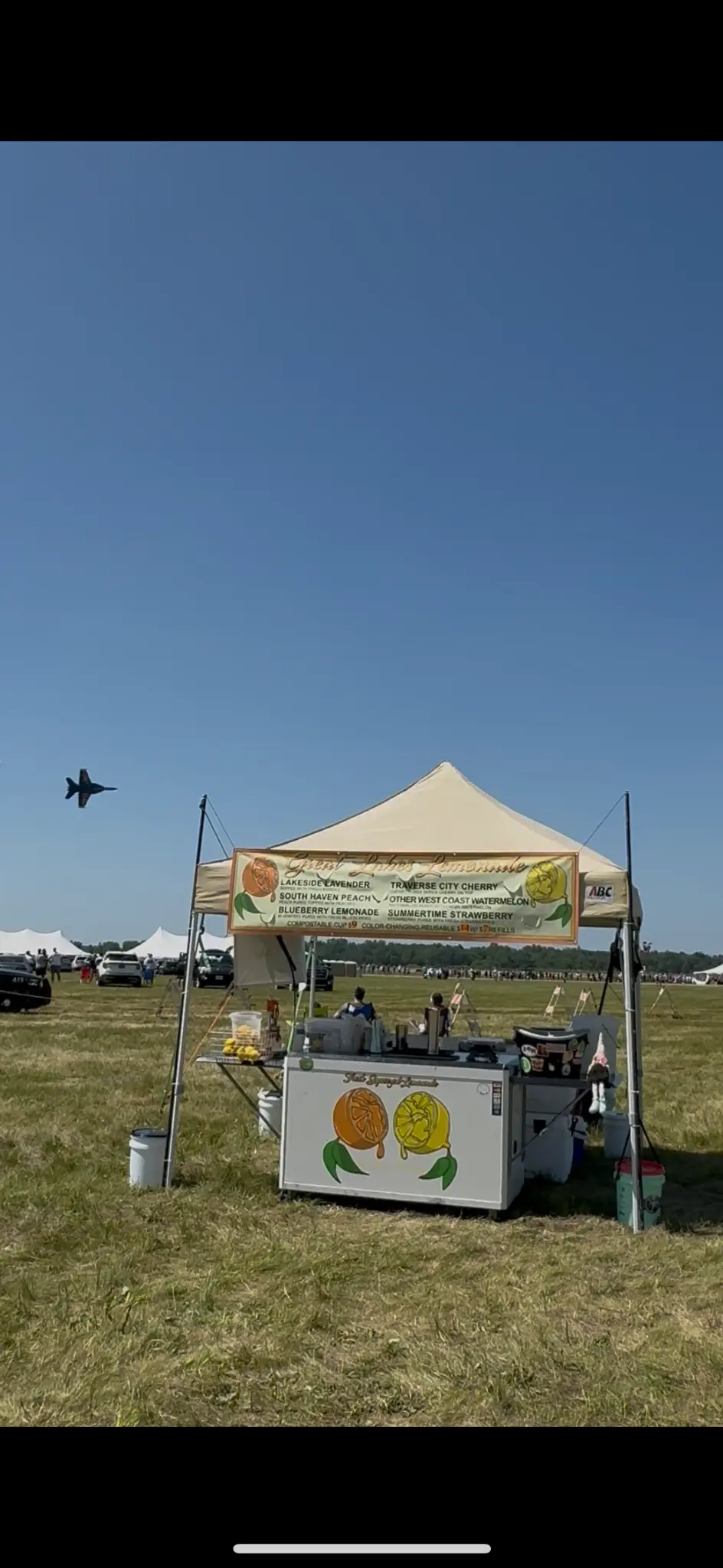 Thunder Over Michigan Air Show